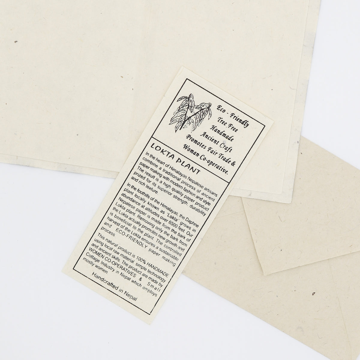 Eco-Friendly Note Card Set