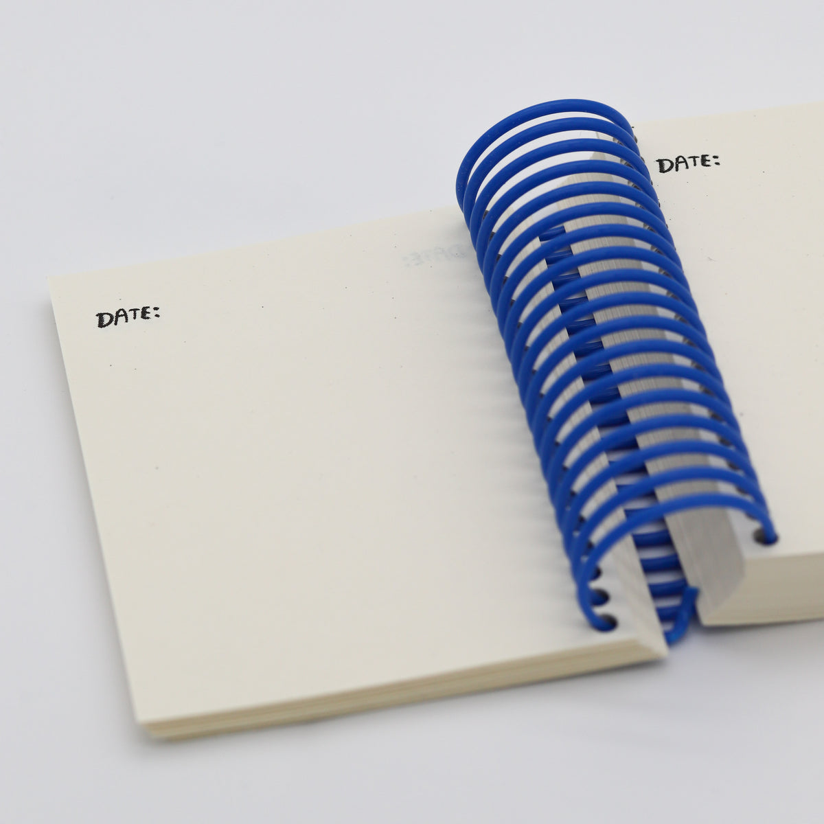Lots of Thanks Gratitude Journal