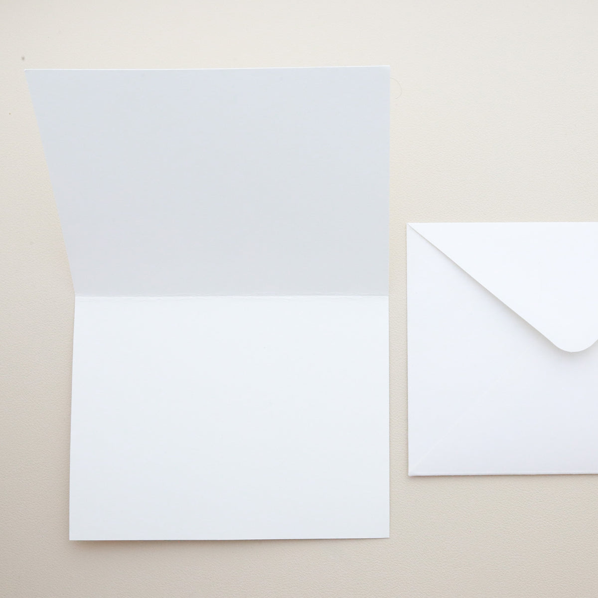 Anecdote Sparrow Card Set